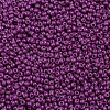 11/0 Grade A Baking Paint Glass Seed Beads X-SEED-N001-A-1053-2