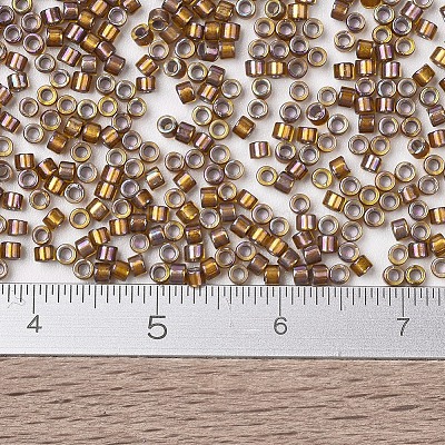 MIYUKI Delica Beads X-SEED-J020-DB1691-1