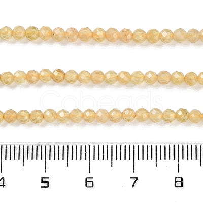 Natural Yellow Apatite Beads Strands G-N342-20B-01-1