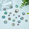 WADORN 20Pcs 4 Styles Natural Abalone Shell/Paua Shell Cabochons SHEL-WR0001-07-4