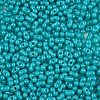 Baking Paint Glass Seed Beads SEED-L011-09A-07-3