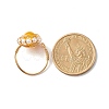 Natural Mixed Gemstone Finger Rings for Girl Women RJEW-TA00012-9