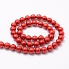 Shell Pearl Bead Strands BSHE-L026-08-8mm-2