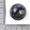 Natural Sodalite Sphere Beads G-I367-05H-2