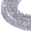 Natural Labradorite Beads Strands G-F627-10-A-3
