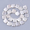 Shell Pearl Beads Strands X-SSHEL-T011-04A-2