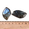 Natural Labradorite Cabochons G-B085-05-3