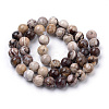 Natural Zebra Jasper Beads Strands X-G-S259-30-8mm-2