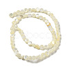 Natural White Shelll Beads Strands SSHEL-H072-03-2