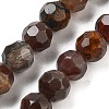 Natural Petrified Wood Beads Strands G-C150-B01-01-2