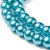 Glass Pearl Beads Strands HY-XCP0001-03B-4