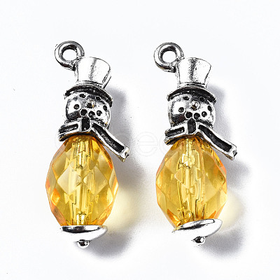 Transparent Acrylic Pendants SACR-N013-008-RS-1