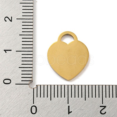 Ion Plating(IP) 304 Stainless Steel Pendants FIND-M017-01G-B-1