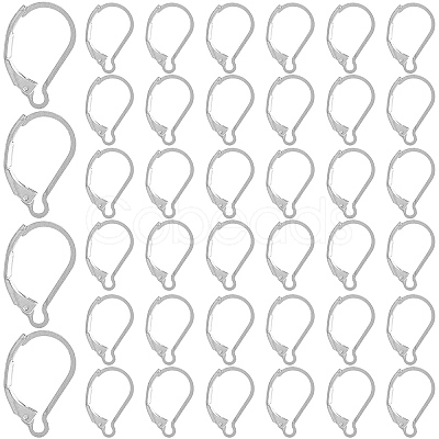 SOFPLATE 304 Stainless Steel Leverback Earring Findings STAS-SP0001-05B-1