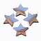 Transparent Resin & Wood Pendants, Star, Light Steel Blue, 26x28x4mm, Hole: 1.6mm