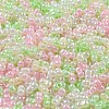 Glass Seed Beads SEED-K009-02B-19-3