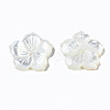 Natural White Shell Mother of Pearl Shell Beads SSHEL-T014-42D-4