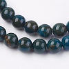 Natural Gemstone Beads Strands G-F560-6mm-A01-3