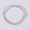 Transparent Glass Beads Strands GLAA-F079-B02-2