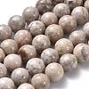 Natural Maifanite/Maifan Stone Beads Strands X-G-I187-8mm-01-7