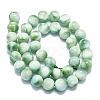 Natural Glass Beads Strands G-K245-A13-05-2