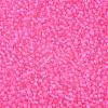 11/0 Grade A Round Glass Seed Beads SEED-N001-D-206-2