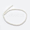Natural Cultured Freshwater Pearl Beads Strands PEAR-K003-23D-01-2