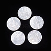 Natural White Shell Cabochons SSHEL-D083-12A-1