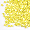 Opaque Glass Seed Beads SEED-S023-01A-02-2
