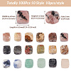 Fashewelry 100Pcs 10 Style Natural Gemstone Beads G-FW0001-20-4