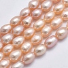 Grade AAA Natural Cultured Freshwater Pearl Beads Strands PEAR-F007-76-2