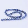 Natural Blue Spot Jasper Beads Strands G-Q462-10mm-06-2