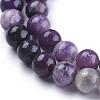 Natural Lepidolite/Purple Mica Stone Beads Strands G-K415-8mm-4