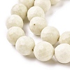 Natural Fossil Round Bead Strands X-G-O151-02-12mm-3