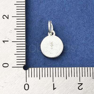 Sterling Silver Charms STER-E070-03B-1