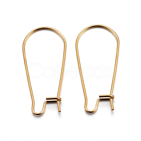 304 Stainless Steel Hoop Earring Findings STAS-P223-01G-03-1