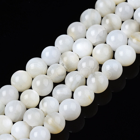 Natural Freshwater Shell Beads Strands X-BSHE-T009A-01A-1