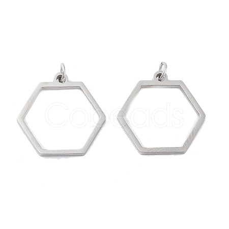 304 Stainless Steel Pendants STAS-G324-01C-P-1