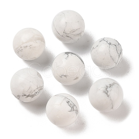 Natural Howlite No Hole Sphere Beads G-K353-04A-20-1