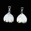 Natural Trochid Shell/Trochus Pendants SSHEL-N027-125-2