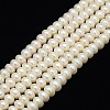 Grade A Natural Cultured Freshwater Pearl Beads Strands PEAR-L001-C-12-1