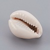 Cowrie Shell Brooches JEWB-BR00044-1