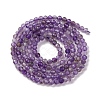 Natural Amethyst Beads Strands G-A235-A03-01-3