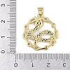 Rack Plating Brass Micro Pave Cubic Zirconia Pendants KK-K341-54G-02-3