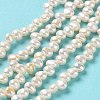 Natural Cultured Freshwater Pearl Beads Strands PEAR-J007-66-2