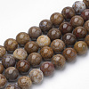 Natural Petrified Wood Beads Strands X-G-Q462-136-8mm-1