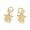 Electroplated Alloy Charms PALLOY-G267-09G-2