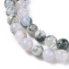 Natural Tree Agate Beads Strands X-G-L533-22-2