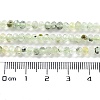 Natural Prehnite Beads Strands G-J400-C05-02-5