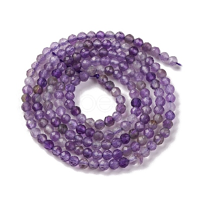 Natural Amethyst Beads Strands G-A235-A03-01-1